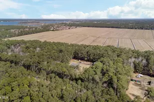 257 Crows Nest Rd, Beaufort, NC 28516 - Photo 44