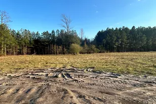 2889 Catherine Lake Rd, Richlands, NC 28574 - Photo 28