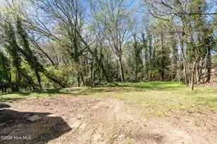 206 Dowd St, Carthage, NC 28327 - Photo 46