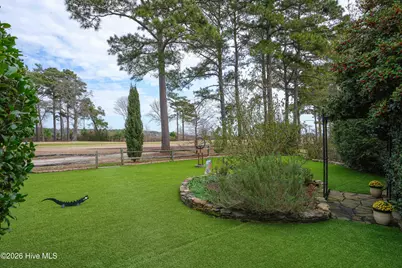 413 Sawgrass Cove, Sneads Ferry, NC 28460 - Photo 54