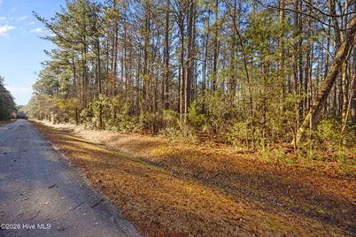 122 Headwaters Drive, Oriental, NC 28571 - Photo 6