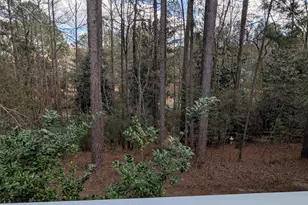 22 Lochmere Dr, Pinehurst, NC 28374 - Photo 70
