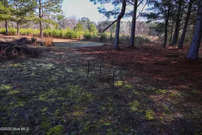 908 W 6th Street, Tabor City, NC 28463 - Photo 16