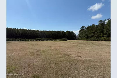 220 Pungo Shores Drive, Belhaven, NC 27810 - Photo 34