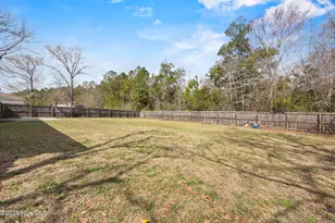136 Braeburn Blvd, Richlands, NC 28574 - Photo 38