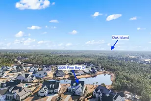 3005 Pine Bay Ct, Southport, NC 28461 - Photo 56