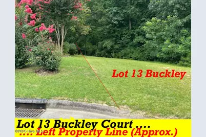 13 Buckley Court, Whispering Pines, NC 28327 - Photo 4