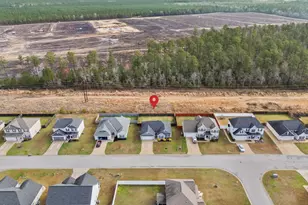 256 Wood House Dr, Jacksonville, NC 28546 - Photo 48