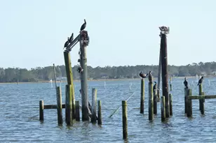 210 Shore Rd, Newport, NC 28570 - Photo 36