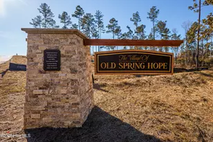 Lot 29 River Meadow Ct, Spring Hope, NC 27882 - Photo 1