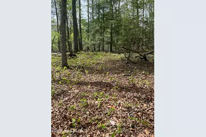 Lot 21 Equestrian Lane, Carthage, NC 28327 - Photo 12