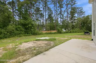 821 Conductor Ct, Vass, NC 28394 - Photo 38