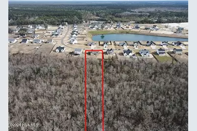 238 Bellows Lane, Rocky Point, NC 28457 - Photo 78