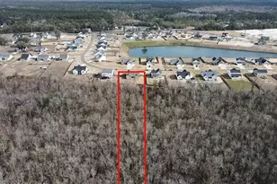 238 Bellows Ln, Rocky Point, NC 28457 - Photo 78