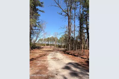 880 Doubs Chapel Road, West End, NC 27376 - Photo 6