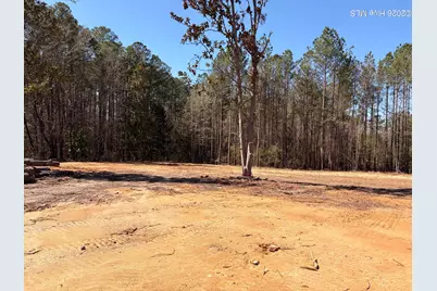 880 Doubs Chapel Road, West End, NC 27376 - Photo 2
