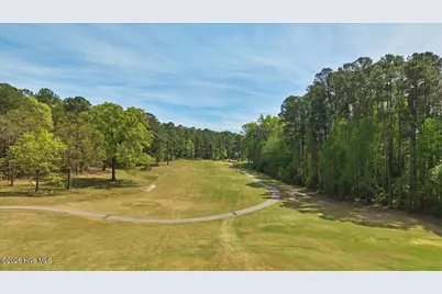 451 Thimbleberry Drive, Vass, NC 28394 - Photo 68