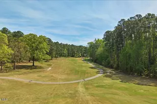 451 Thimbleberry Dr, Vass, NC 28394 - Photo 68