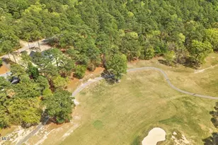 451 Thimbleberry Dr, Vass, NC 28394 - Photo 70