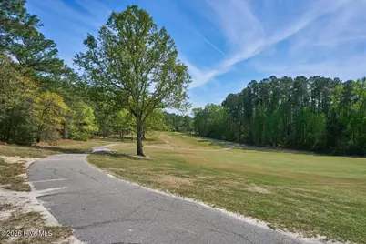 451 Thimbleberry Drive, Vass, NC 28394 - Photo 66