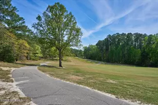 451 Thimbleberry Dr, Vass, NC 28394 - Photo 66