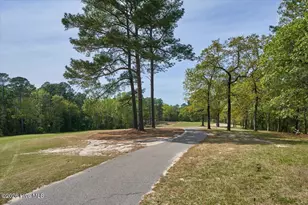 451 Thimbleberry Dr, Vass, NC 28394 - Photo 76