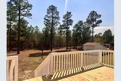 367 Ellerbe Grove Church Road, Rockingham, NC 28379 - Photo 4