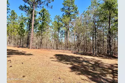 367 Ellerbe Grove Church Road, Rockingham, NC 28379 - Photo 6