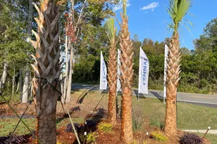 3511 Sandhill Crane Dr SW, Ocean Isle Beach, NC 28469 - Photo 8