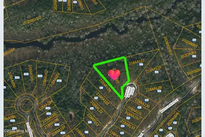 695 Madeira Islands Drive SE, Bolivia, NC 28422 - Photo 1