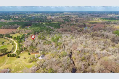 259 Heathers Folly Road, Willard, NC 28478 - Photo 82
