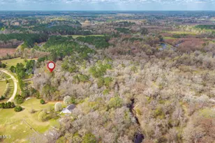 259 Heathers Folly Rd, Willard, NC 28478 - Photo 82