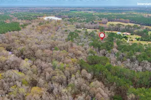 259 Heathers Folly Rd, Willard, NC 28478 - Photo 80