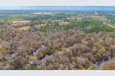 259 Heathers Folly Road, Willard, NC 28478 - Photo 50