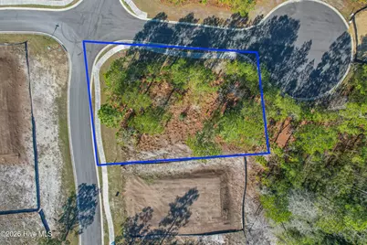 3398 Discovery Bay Road, Shallotte, NC 28470 - Photo 4