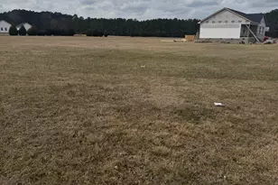 Lot 1 Perry Rd, Chocowinity, NC 27817 - Photo 1