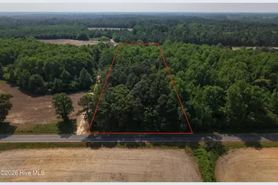 0 Mintz Road, Roseboro, NC 28382 - Photo 8