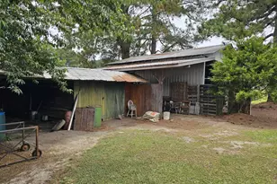 2630 Prison Camp Rd, Williamston, NC 27892 - Photo 14
