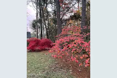 957 Sandavis Road, Southern Pines, NC 28387 - Photo 46