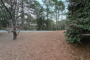 957 Sandavis Rd, Southern Pines, NC 28387 - Photo 54