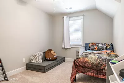 369 Moss Pink Drive, Vass, NC 28394 - Photo 44