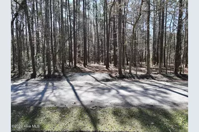 0 Lot 1 Creek Place Road, Arapahoe, NC 28510 - Photo 20