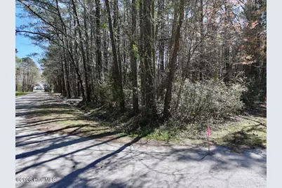 0 Lot 2 Creek Place Road, Arapahoe, NC 28510 - Photo 10