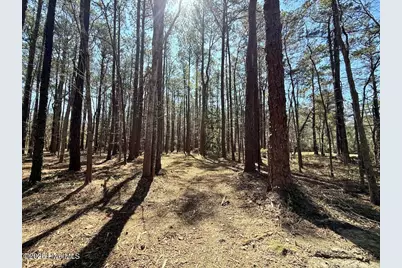 0 Lot 2 Creek Place Road, Arapahoe, NC 28510 - Photo 12