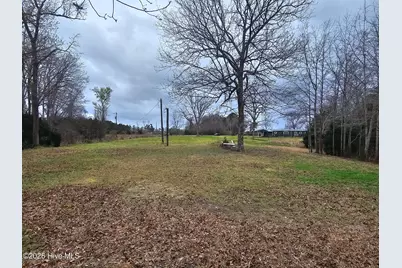 251 Alligator Loop Road, Merritt, NC 28556 - Photo 4