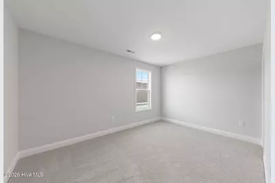112 Meadow Sage (Lot 115) Street, Raeford, NC 28376 - Photo 22