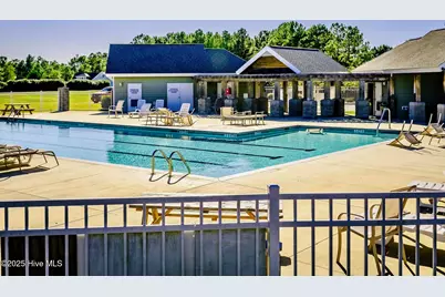 254 E Red Head Circle, Sneads Ferry, NC 28460 - Photo 24