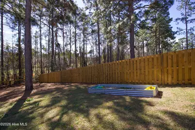 315 Pickett Circle, Vass, NC 28394 - Photo 52