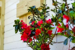3416 Wilshire Blvd, Wilmington, NC 28403 - Photo 4