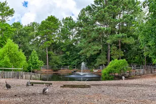 450 Berry Ln SW, Supply, NC 28462 - Photo 72